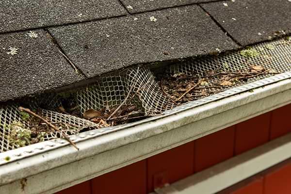 Minnesota clogged gutters