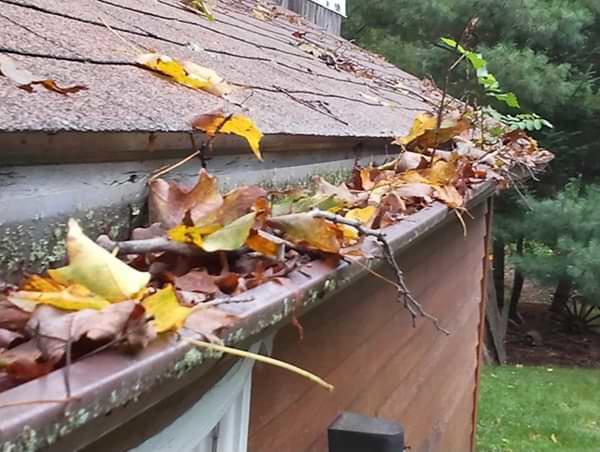 Central Minnesota clogged gutters